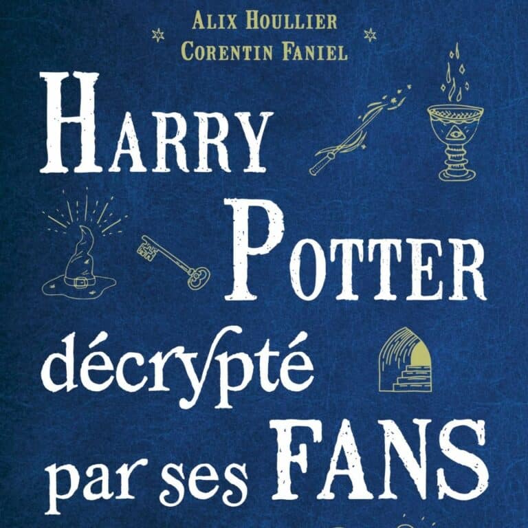 La couverture de "Harry Potter décrypté par ses fans" intègre quelques symboles liés au roman qui représentent un chapeau magique, une clé, une baguette magique, l'entrée d'un tunnel ou encore une coupe.