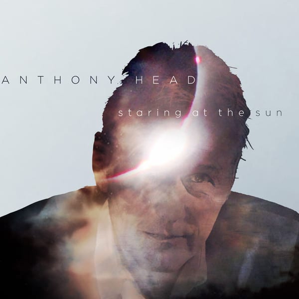 La couverture de l'album "Staring at the sun" met en avant Anthony Head.