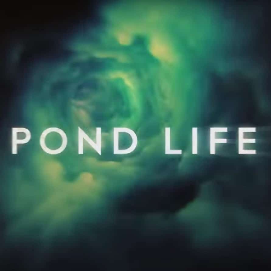 Le titre Pond Life est écrit au dessus d'un vortex temporel.